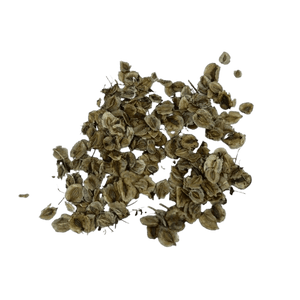 Hogweed (Chimphing): A Hidden Gem from the Himalayan Region