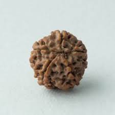 5 Mukhi Nepali Rudraksha - Authentic Spiritual Beads for Peace and Prosperity