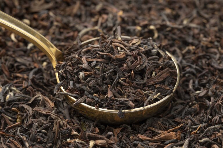 Darjeeling Premium Tea – The Champagne of Teas