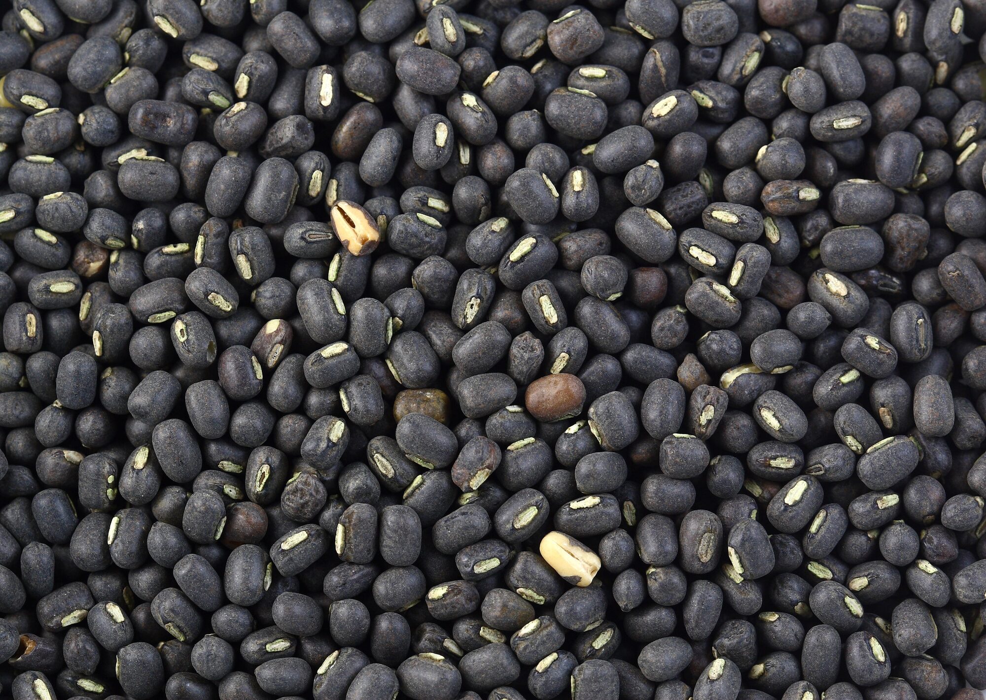 Mas Ko Dal (Kalo Dal)