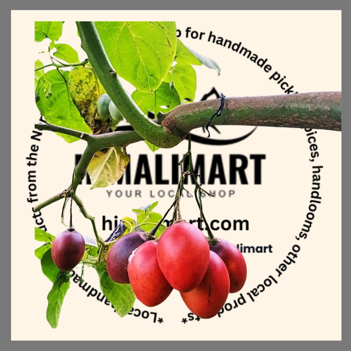 Organic Tamarillo(Ruk Tamatar) from Northeast India: A Superfruit Packed with Nutrients(250 g)